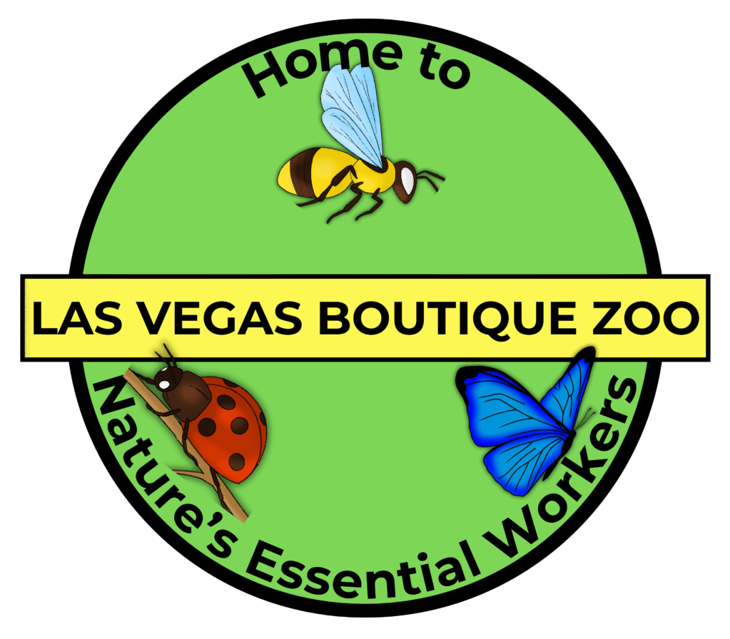 Home Cropped Logo 3.0 Copy 1 Scaled E1758853389965