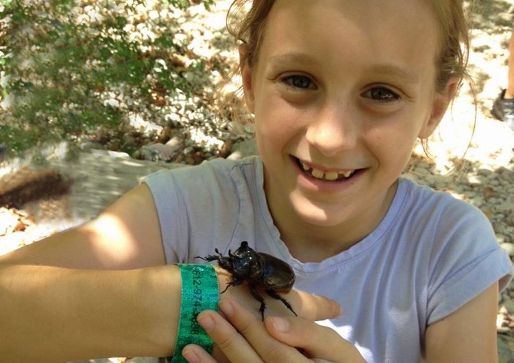 child with beetle child with beetle